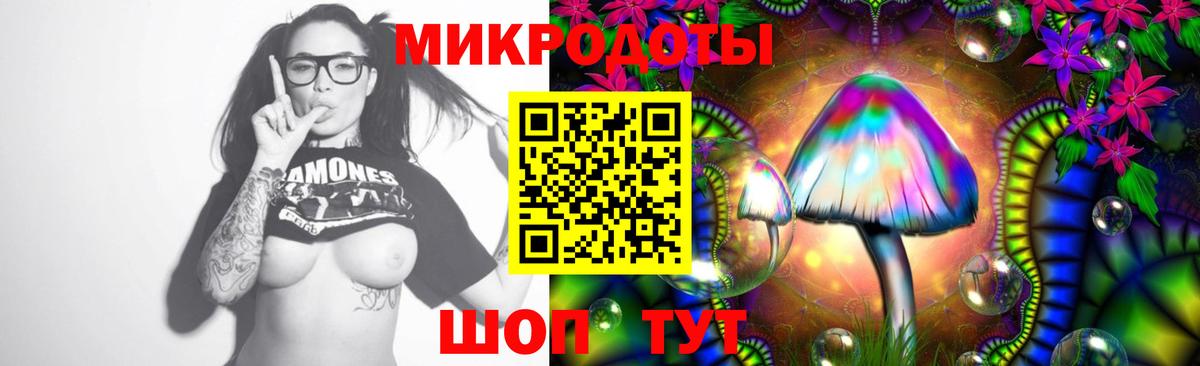 Воркута  Псилоцибиновые грибы прущие грибы  Вход с VPN 